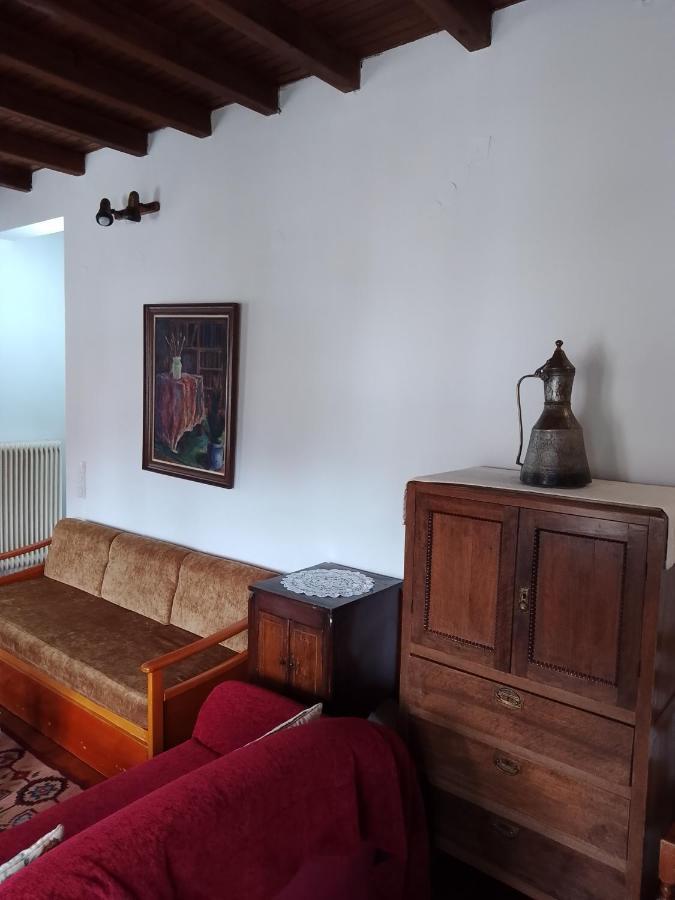 Arka Metsovo Hotel ภายนอก รูปภาพ