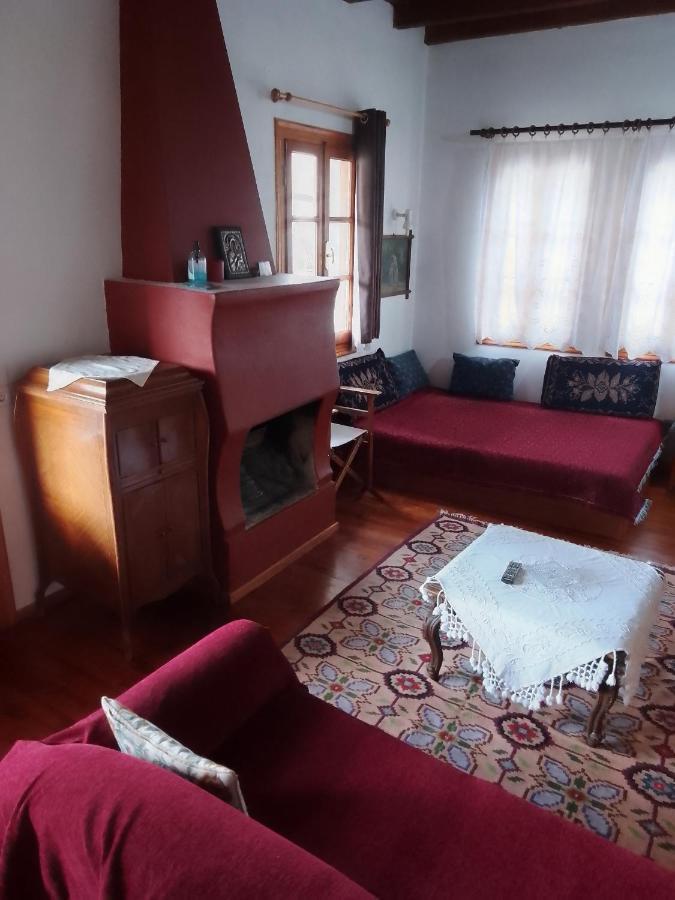 Arka Metsovo Hotel ภายนอก รูปภาพ