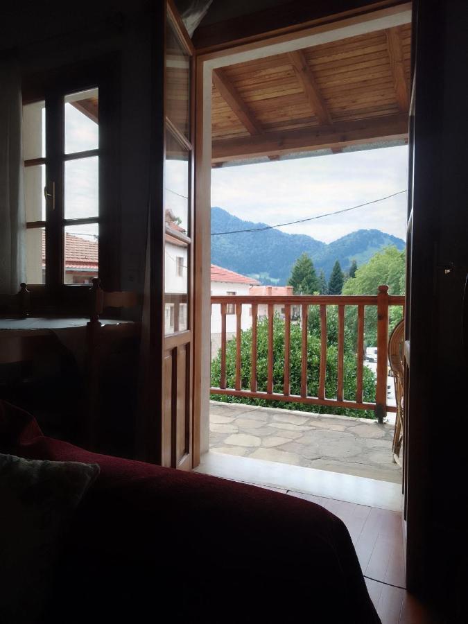 Arka Metsovo Hotel ภายนอก รูปภาพ