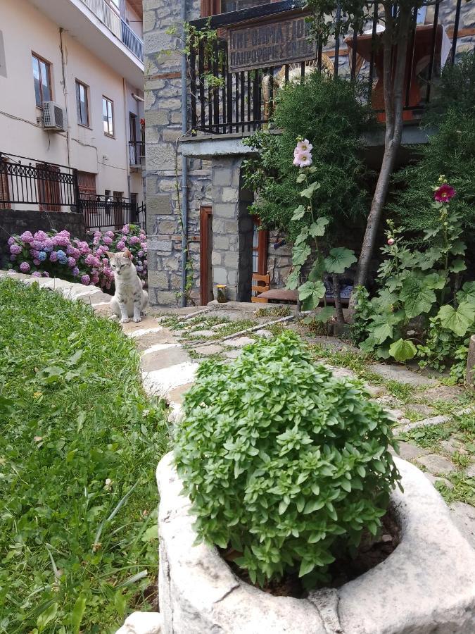 Arka Metsovo Hotel ภายนอก รูปภาพ