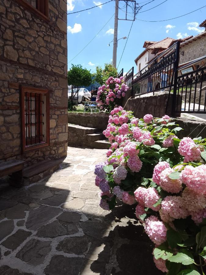 Arka Metsovo Hotel ภายนอก รูปภาพ