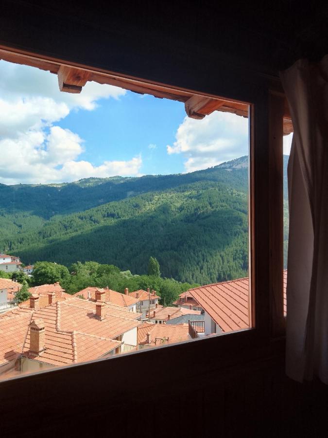 Arka Metsovo Hotel ภายนอก รูปภาพ