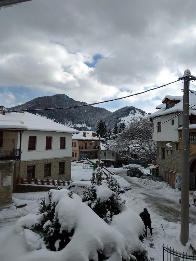 Arka Metsovo Hotel ภายนอก รูปภาพ