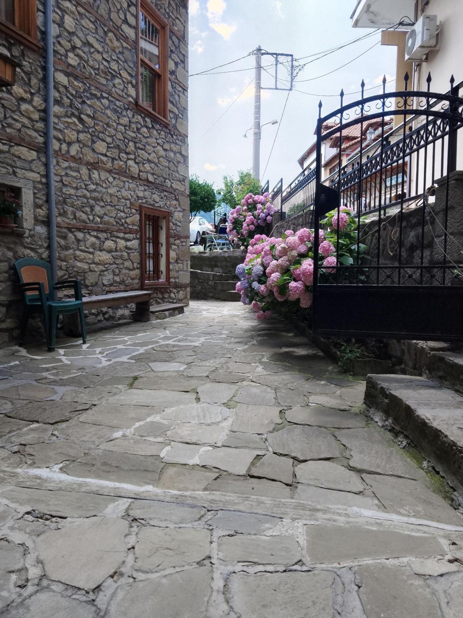Arka Metsovo Hotel ภายนอก รูปภาพ