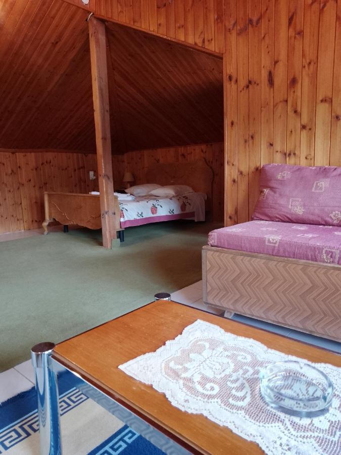 Arka Metsovo Hotel ภายนอก รูปภาพ